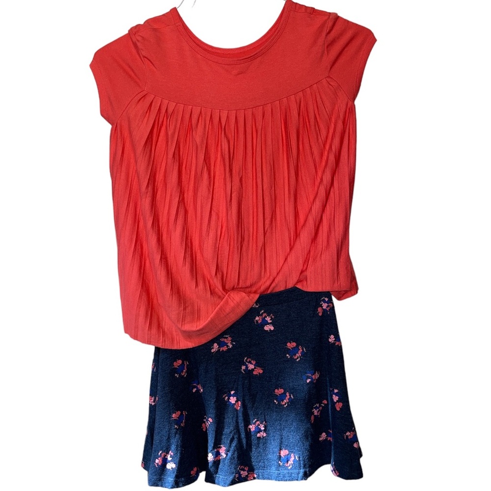 Skirt and Top